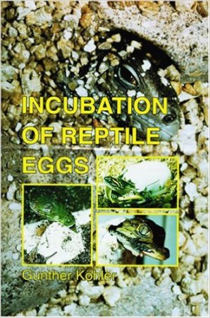 Incubation_reptiles_eggs_blog_arthropodus